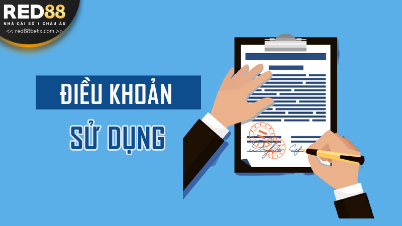 Điểm qua một số nội dung chi tiết mới chuẩn nhất newbie nên xem