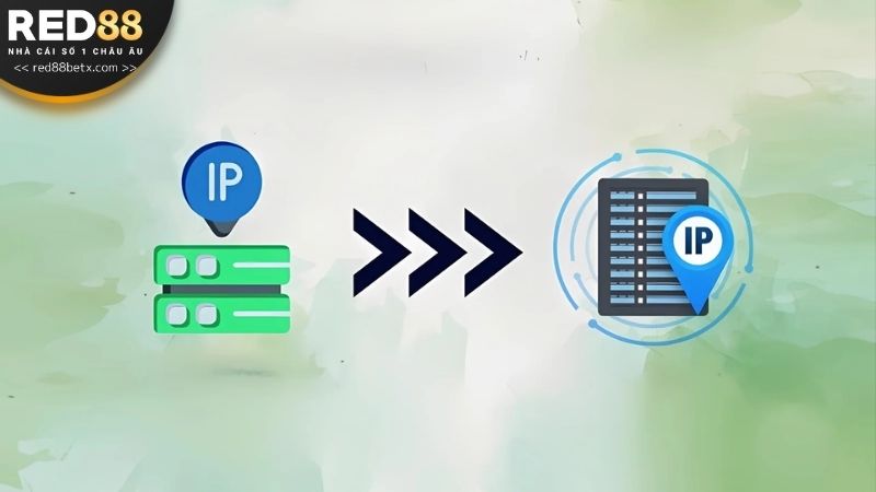 Fake IP qua quốc gia khác để vào trang cược dễ dàng