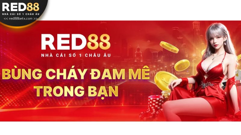 Hướng dẫn các bước tải ứng dụng Red88 trên điện thoại