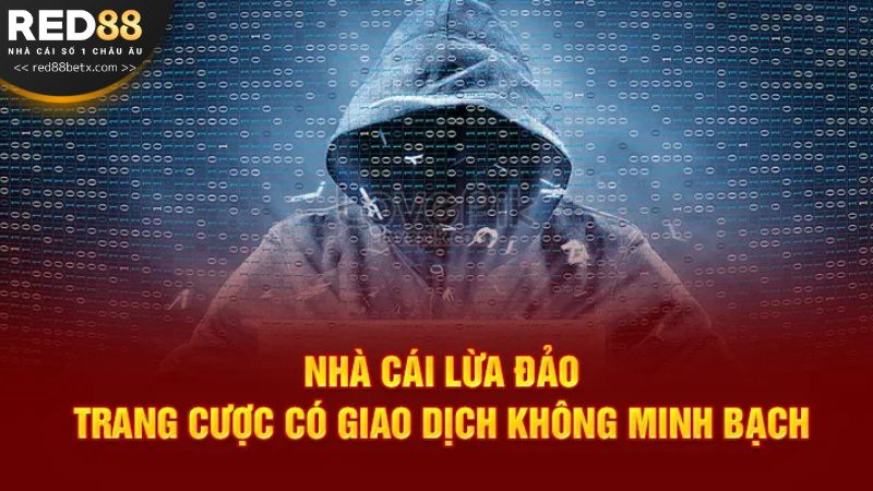 Những tin đồn liên quan đến việc Red88 lừa đảo xuất phát từ đâu